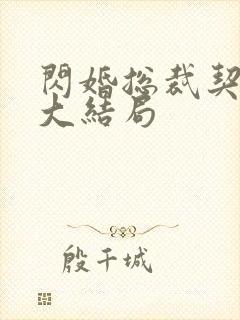 闪婚总裁契约妻大结局封面