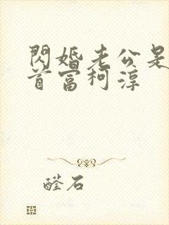 闪婚老公是千亿首富柯淳