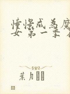 憧憬成为魔法少女 第一季 在线观看封面