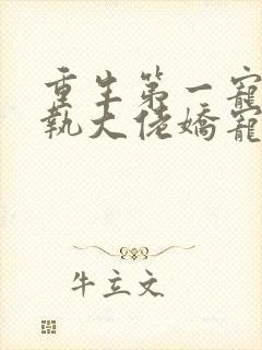 重生第一宠:偏执大佬娇宠妻 李婉儿