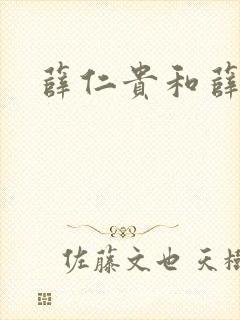 薛仁贵和薛丁山