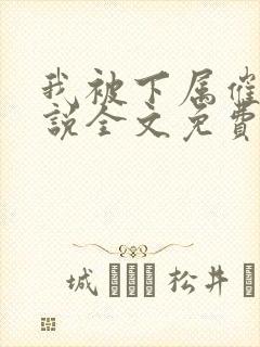 我被下属催眠小说全文免费阅读