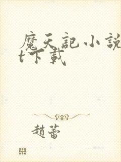 魔天记小说txt下载封面