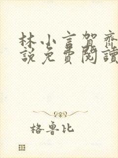 林小言贺齐安小说免费阅读封面