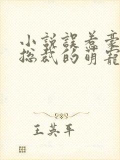 小说误惹豪门,总裁的萌宠新娘免费阅读