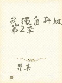 我独自升级动漫第2季