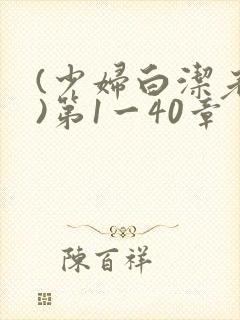 (少妇白洁老师)第1一40章封面