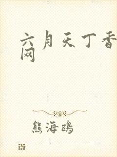 六月天丁香婷婷网封面