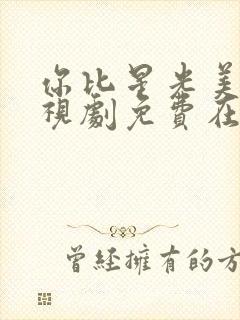 你比星光美丽电视剧免费在线看