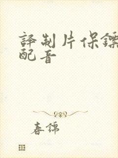 译制片保镖中文配音