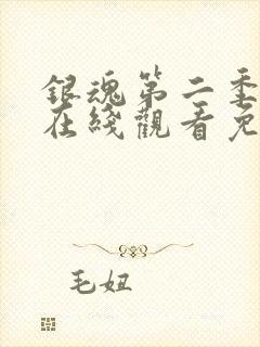 银魂第二季动漫在线观看免费高清观看