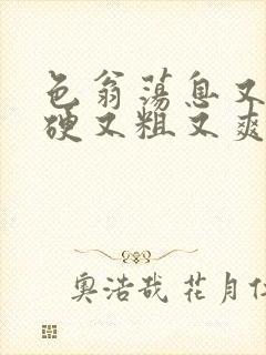 色翁荡息又大又硬又粗又爽