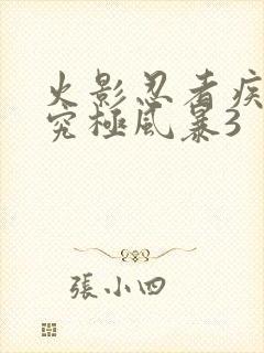 火影忍者疾风传究极风暴3