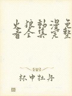 火狼动漫免费观看全集完整版封面