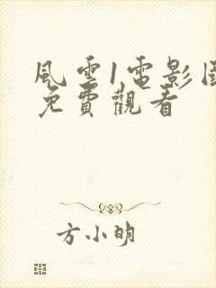 风云1电影国语免费观看