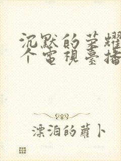 沉默的荣耀在那个电视台播放