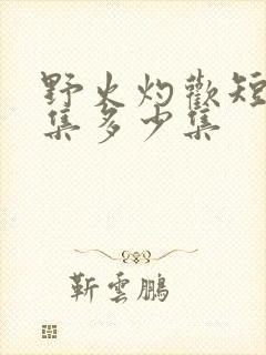 野火灼欢短剧全集多少集