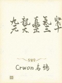 九龙真气紫薇真元天罡三十六法地煞七十二术