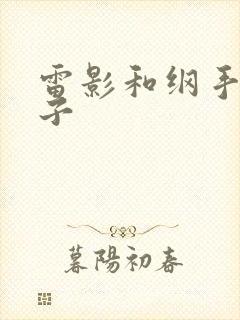雷影和纲手的本子