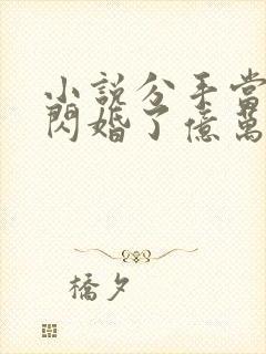 小说分手当天我闪婚了亿万富豪