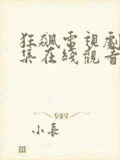 狂飙电视剧40集在线观看免费下载