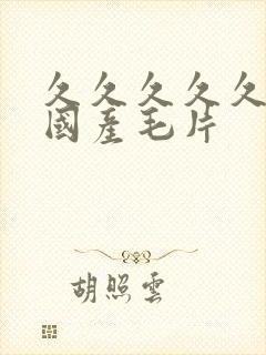 久久久久久精品国产毛片封面