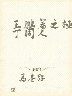 王鹏篇之极品家丁同人