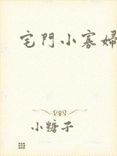 宅门小寡妇