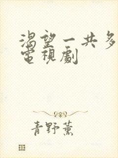 渴望一共多少集电视剧封面