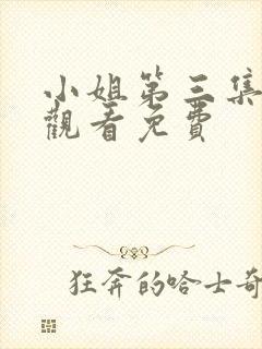 小姐第三集在线观看免费