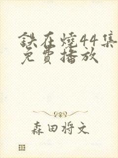 铁在烧44集全免费播放