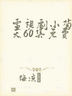 电视剧小菊的春天60集免费观看