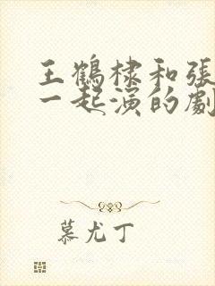 王鹤棣和张凌赫一起演的剧