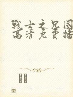 战士之兄国语版高清免费播放封面