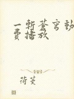 一斩苍穹动漫免费播放封面