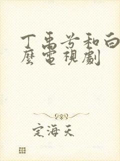 丁禹兮和白鹿什么电视剧