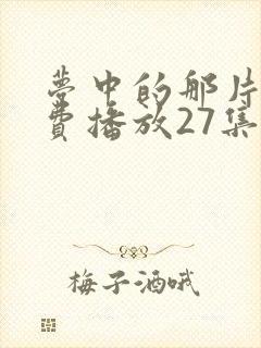 梦中的那片海免费播放27集