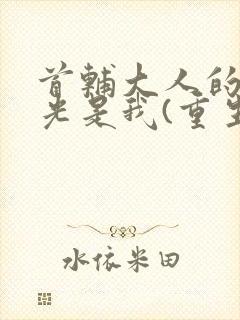 首辅大人的白月光是我(重生)