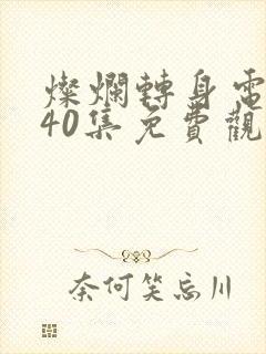 灿烂转身电视剧40集免费观看高清