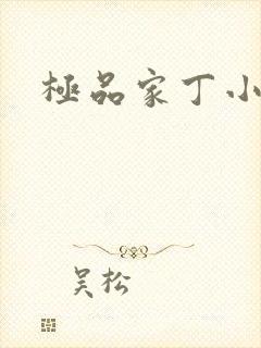 极品家丁小说