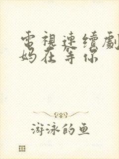 电视连续剧 妈妈在等你