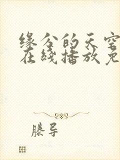 缘分的天空动漫在线播放免费观看樱