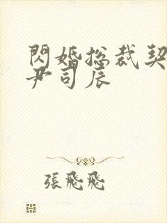 闪婚总裁契约妻尹司辰