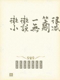 微微一笑很倾城小说无删减版