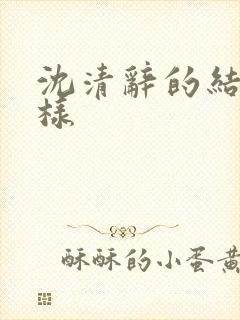 沈清辞的结局怎样封面