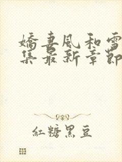 娇妻风和雪2续集最新章节更新封面