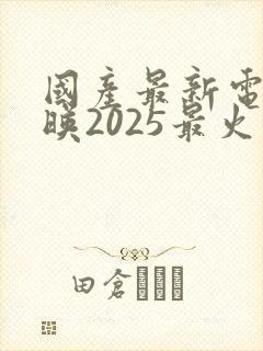 国产最新电影上映2025最火推荐