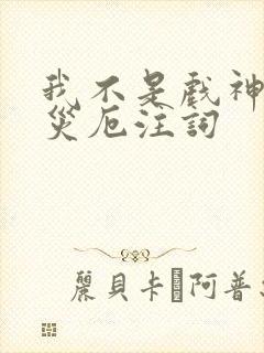 我不是戏神灭世灾厄注词