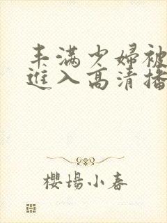 丰满少妇被猛烈进入高清播放,