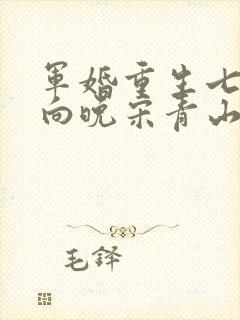 军婚重生七零苏向晚宋青山